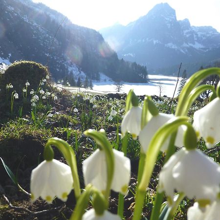 Berghotel Obersee Näfels Eksteriør bilde