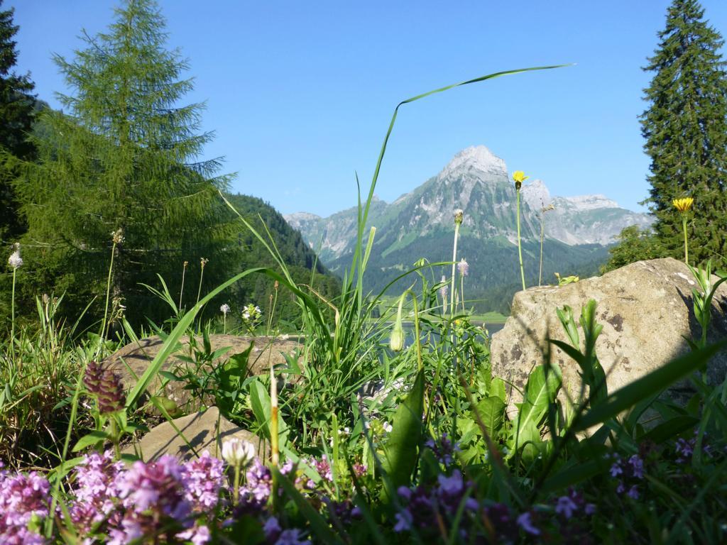 Berghotel Obersee Näfels Eksteriør bilde