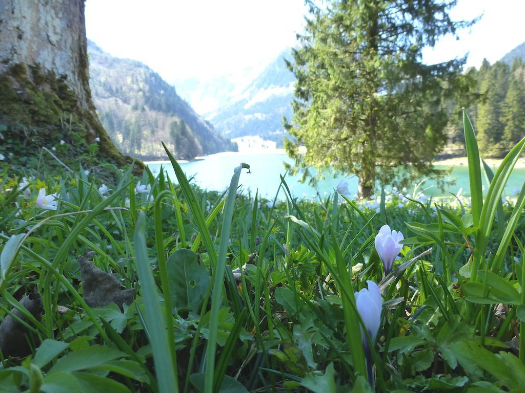 Berghotel Obersee Näfels Eksteriør bilde