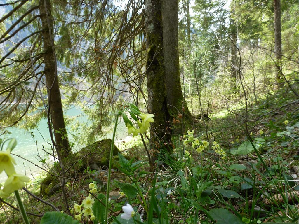 Berghotel Obersee Näfels Eksteriør bilde
