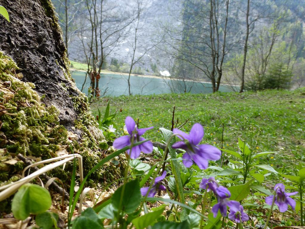 Berghotel Obersee Näfels Eksteriør bilde