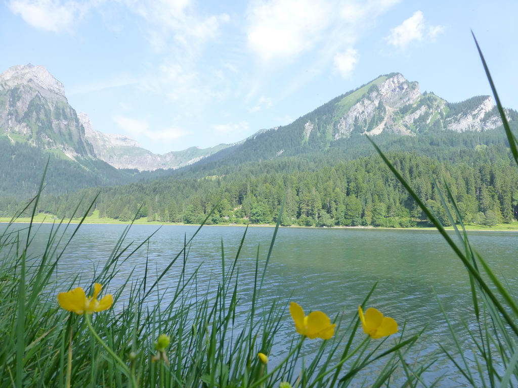 Berghotel Obersee Näfels Eksteriør bilde